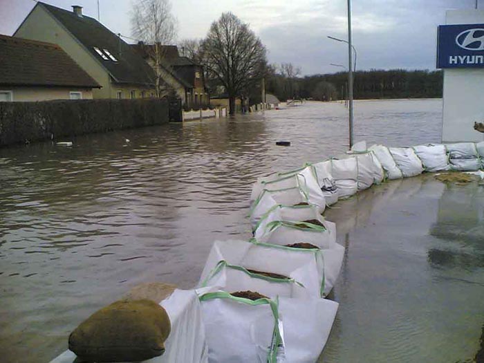 duernkrut_027